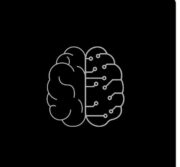 whatsapp image 2026 02 15 at 1.32.37 am